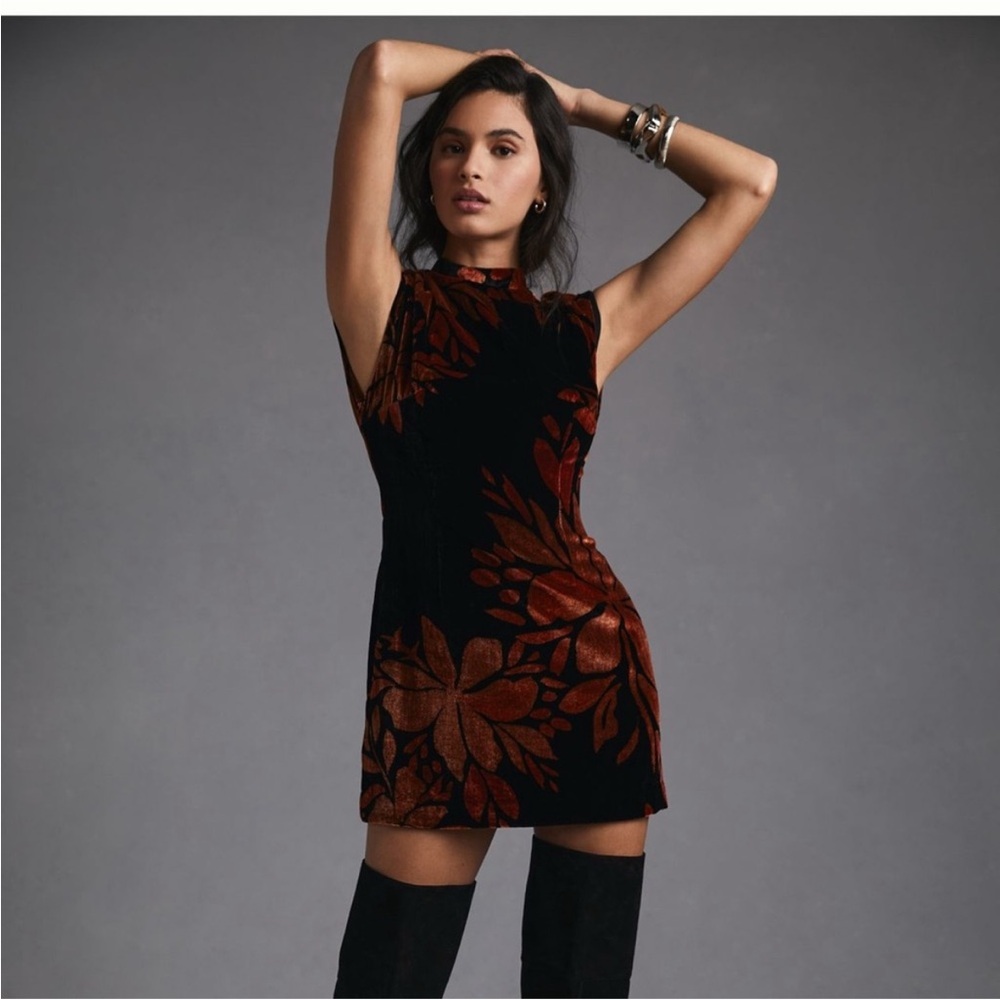 Anthropologie Velvet Dress